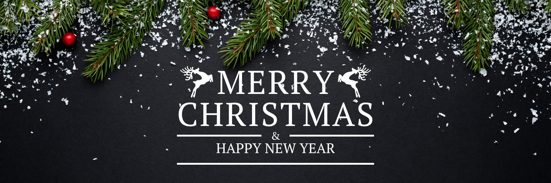 Merry Christmas Everyone!